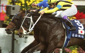 Stay Gold just gets up in the final stride to nab Ekraar in the Hong Kong Vase. Photo: SCMP Pictures