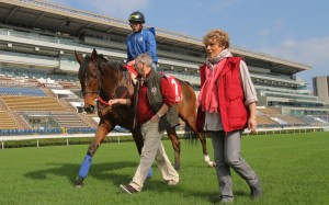 Team Cirrus Des Aigles have become annual visitors to Sha Tin, and this year is no exception - albeit with a bit of a twist this time around. Photo: Kenneth Chan