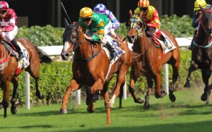 Craig's Fortune wins at the Happy Valley day meeting in November as a heavily supported favourite. Photo: Kenneth Chan