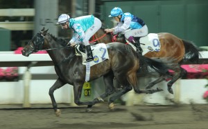 Hit The Bid records his one and only win under Zac Purton at a night all-weather meeting in March. Purton is in Japan to ride Gun Pit today, with Joao Moreira taking the mount. Photos: Kenneth Chan