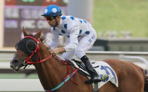 Contentment is unbeaten over the Sha Tin 1,400m, including a win in the Celebration Cup. Joao Moreira jumps back aboard today for the first time since the Sha Tin Trophy. Photos: Kenneth Chan