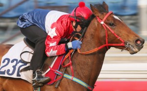 Magpies Bridge hits the line well under a hold from Brett Prebble.Photo: Kenneth Chan