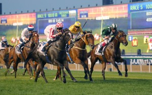 Sole Power went off at a crazy price of 14.3 for a $1 unit in Hong Kong last year, when winning the Al Quoz Sprint. Photo: Kenneth Chan
