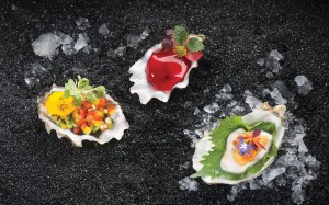 Sea wonders await at the Bostonian.