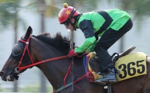 SUPER SILKS ridden by Douglas Whyte trial in batch 2 over 1200Metres (All Weather Track) at Sha Tin. 23OCT15