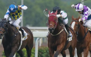 Race 8, People's Knight, ridden by Joao Moreira, won the Griffin Trophy(1400m) at Sha Tin. 27DEC15