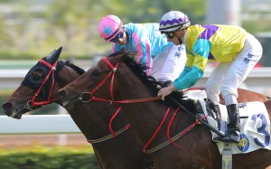 Race 5, Leading Horse(inside), ridden by Joao Moreira, won the class 4 over 1600m at Sha Tin on 01Jan16.
