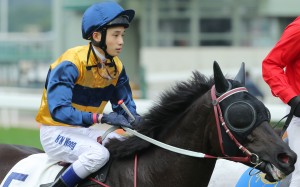 Race 7, Sea Ruby, ridden by Jack Wong, won the class 3 over 1200m(all weather track) at Sha Tin on 17Jan16.