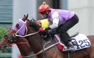 GENERAL SHERMAN ridden by Douglas Whyte trial in batch 1 over 1200Metres (All Weather Track) at Sha Tin. 08DEC15