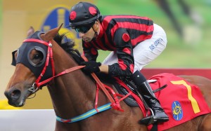 Race 8, Thewizardofoz, ridden by Joao Moreira, won the Chinese Year Cup(class 1, 1400m) at Sha Tin on 10Feb16.