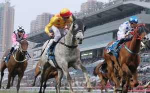 Giant Treasure, with Christophe Soumillon aboard, heads off Lugar at a mile in the Stewards’ Cup at the end of January. Photos: Kenneth Chan