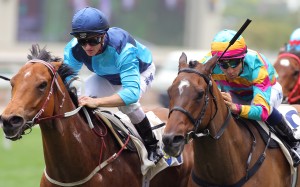 Not Listenin’tome gets home ahead of his Al Quoz Sprint assignment, just getting the better of Golden Shaheen-bound Super Jockey. Photo: Kenneth Chan