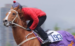 <p>Local legend has three runners as he aims to win his sixth Derby, his third as a trainer, and while he is bullish about the chances of the Irish import, he warns that the 2,000m might be too short</p>