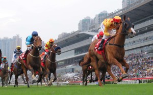 Gold-Fun is being kept fresh so that he can compete in the Group One Chairman’s Sprint Prize in May. Photos: Kenneth Chan