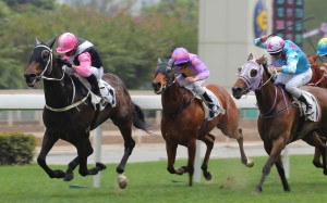 Beauty Love was a strong winner at Sha Tin, but finally draws a gate at his Happy Valley debut. Photo: Kenneth Chan