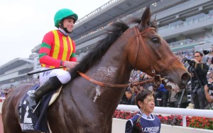 Hong Kong Mile winner Maurice will return to Sha Tin for the Champions Mile, with Joao Moreira taking over the reins from an unavailable Ryan Moore. Photo: Kenneth Chan