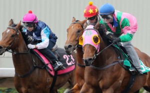 Aerovelocity (right) races up for a narrow, unconvincing victory in a barrier trial on Tuesday. Photo: Kenneth Chan