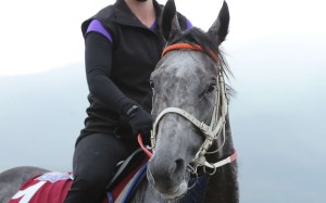 Chautauqua goes into Sunday’s Chairman’s Sprint Prize with unprecedented fanfare and can prove himself to be the world’s best sprinter. Photo: Kenneth Chan