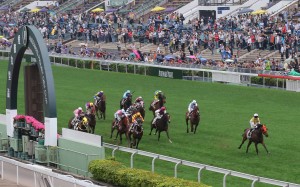 Despite wild weather, crowds flocked to Sha Tin for QE II Cup day and Champions Mile day.