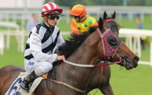 <p>The reigning champion trainer rues the fact he didn’t put his Class Three sprinter on the dirt earlier, but he now believes he has found the secret to the horse after a dominant win</p>