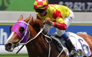Douglas Whyte pumps his fist as he crossed the line on Blazing Pass to make it a winning double. Photo: Kenneth Chan