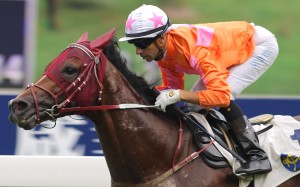 Spanish import Helene Paragon wins the Sha Tin Mile Trophy under Joao Moreira. Photo: Kenneth Chan