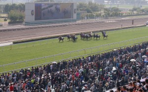 Turnover was 1.7 per cent down from the previous season, the first downturn in seven years. Photo: Kenneth Chan