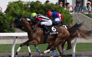 Magic Man sends clear warning to rival riders that he is in top shape for the start of the new Hong Kong racing season