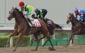 Rich Tapestry drops out during his trial at Sha Tin on Tuesday morning. Photo: Kenneth Chan