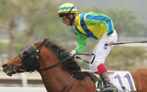 Rich Tapestry has travelled the world, only racing at Sha Tin twice since the start of 2014. Photo: Kenneth Chan