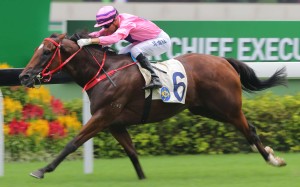 Joao Moreira drives Lucky Year through to win the Chief Executive’s Cup at Sha Tin on Saturday. Photo: Kenneth Chan