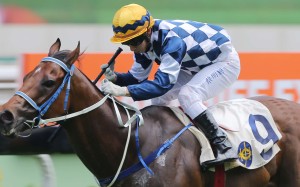 I’m In Charge has not won since the Chief Executive’s Cup last year, but looks well placed to win the Kwangtung Handicap Cup. Photo: Kenneth Chan