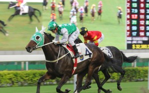 Pakistan Star’s stunning wins have created a huge amount of interest on social media. Photos: Kenneth Chan