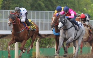 Brett Prebble gives Contentment (left) a hit-out at the trials on Friday. Photos: Kenneth Chan