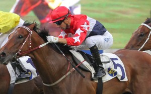 John Moore’s rising star looks well-placed in Saturday’s Group Three