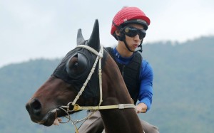 Pakistan Star looks around at trackwork with jockey Matthew Chadwick in the saddle. Photos: Kenneth Chan