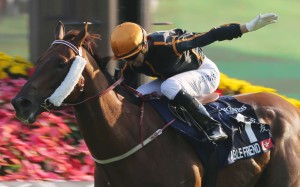 Race 7, Able Friend, ridden by Joao Moreira, won the Hong Kong Mile(group 1, 1600m) at Sha Tin on 14Dec14.