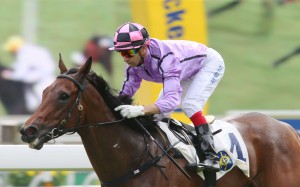 Who Else But You wins for Joao Moreira last year. Photos: Kenneth Chan