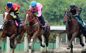 Lucky Bubbles (left), Sun Jewellery (middle) and Able Friend (right) stride out in Friday’s barrier trial. Photos: Kenneth Chan