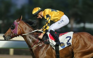 Chad Schofield pumps his fist after winning on Mr Bogart last start. Photos: Kenneth Chan