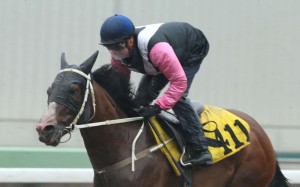 Zac Purton partners Beauty Only in a recent barrier trial. Photos: Kenneth Chan