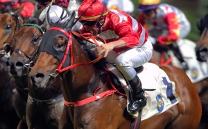 Wayfoong Vinnie wins at Happy Valley last start. Photos: Kenneth Chan