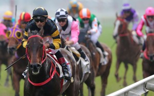Karis Teeten steers D B Pin to victory at Sha Tin on Sunday. Photos: Kenneth Chan