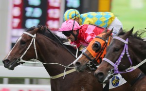 Neil Callan pushes out Regency Bo Bo to prevail at Sha Tin on Saturday. Photos: Kenneth Chan