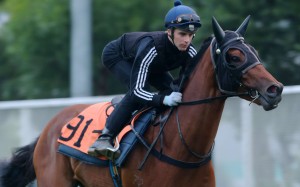 Sam Clipperton works out Rodrico. Photos: Kenneth Chan
