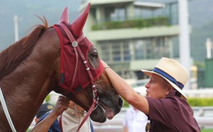 John Moore gives Rapper Dragon a pat after a Group Three win in May and the Australian import is his first choice of the seven runners he has in Sunday’s Hong Kong Classic Mile. Photos: Kenneth Chan
