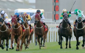 Race 9, Papper Dragon(left), ridden by Joao Moreira, won the Hong Kong Classic Mile((1600m) at Sha Tin on 22Jan17.