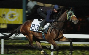 Sam Clipperton gallops Werther on Tuesday on the turf at Sha Tin. He will ride the reigning horse of the year in Monday’s Stewards’ Cup. Photos: Kenneth Chan.