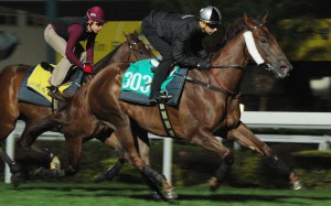 Joao Moreira gallops Able Friend at trackwork last week. Photos: Kenneth Chan