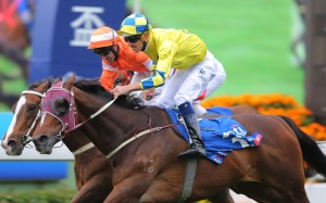 Hugh Bowman guides Werther to victory in the Group One Citi Hong Kong Gold Cup at Sha Tin on Sunday. Photos: Kenneth Chan